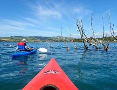 <p>Out on the water exploring in kayaks.</p>